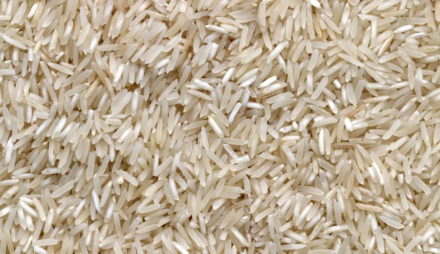 Bowls of unprocessed complex carbohydrates including quinoa, brown rice, farro, and rolled oats