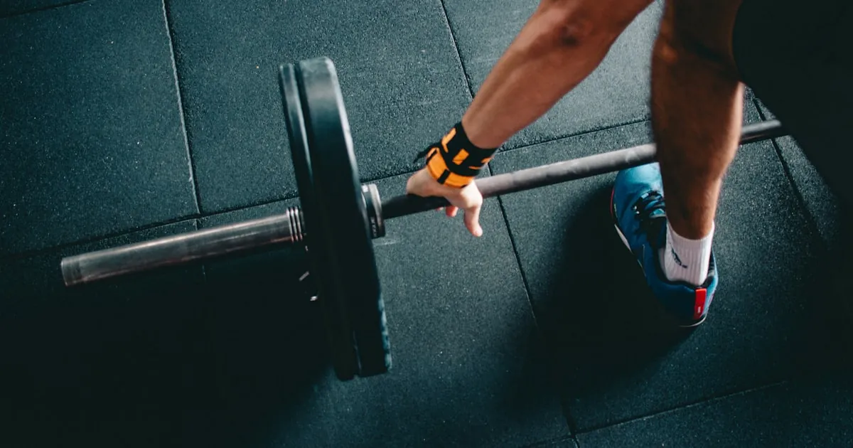Set of dumbbells and fitness training equipment in a modern gym for beginner resistance workouts
