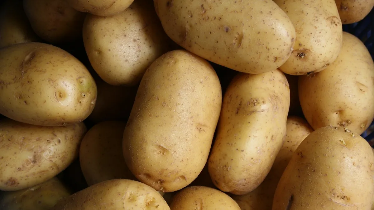 High-Sodium Foods: Top Sources, Daily Limits & Lower-Sodium Swaps